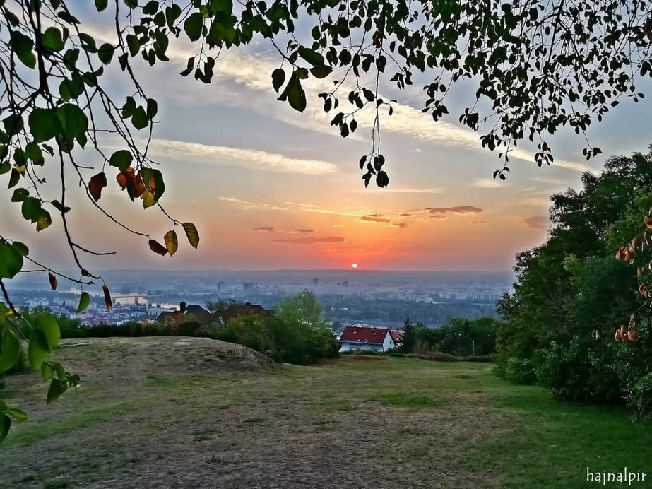 Budapest II.ker - Rózsadomb