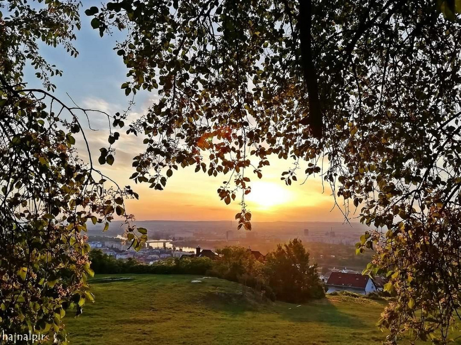 Budapest II.ker - Rózsadomb