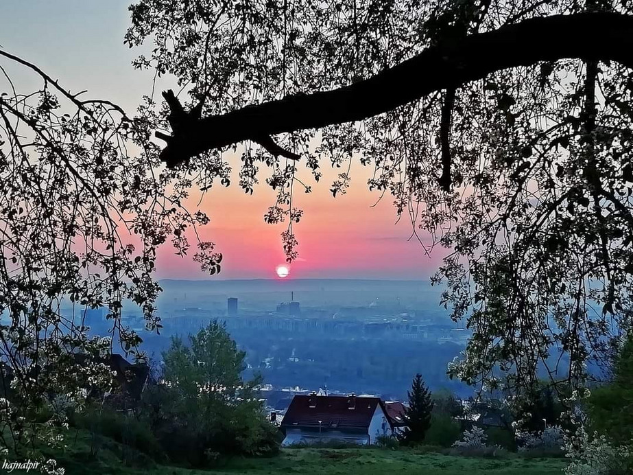 Budapest II.ker - Rózsadomb