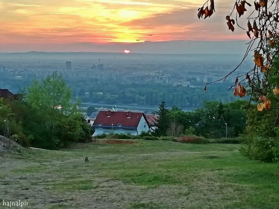 Budapest II.ker - Rózsadomb