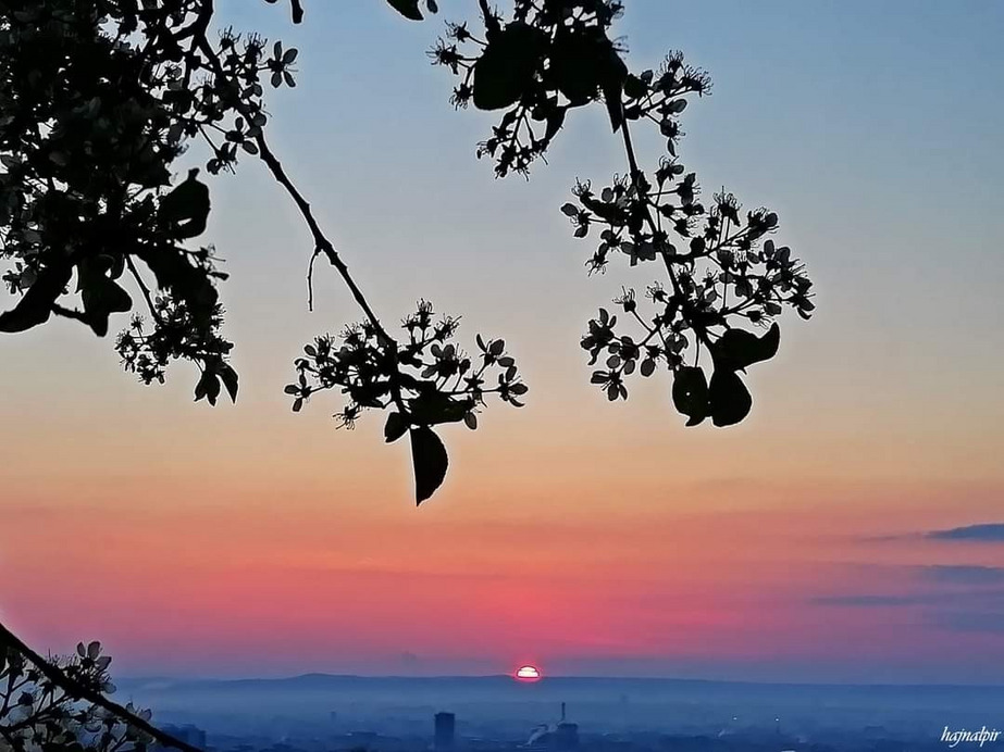 Budapest II.ker - Rózsadomb