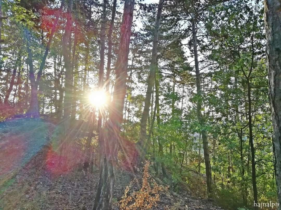 Pilisvörösvár