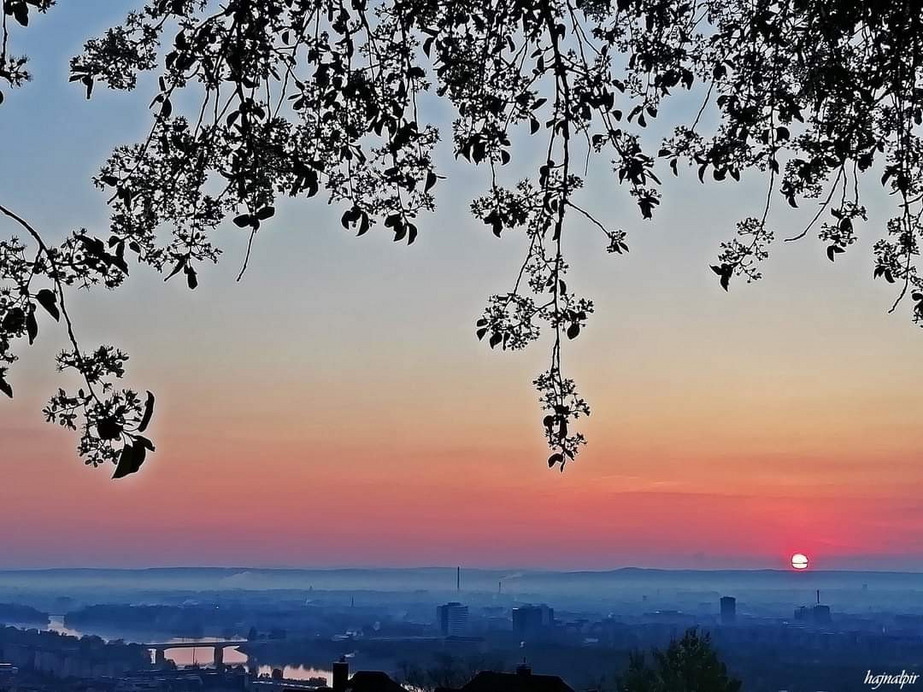 Budapest II.ker - Rózsadomb