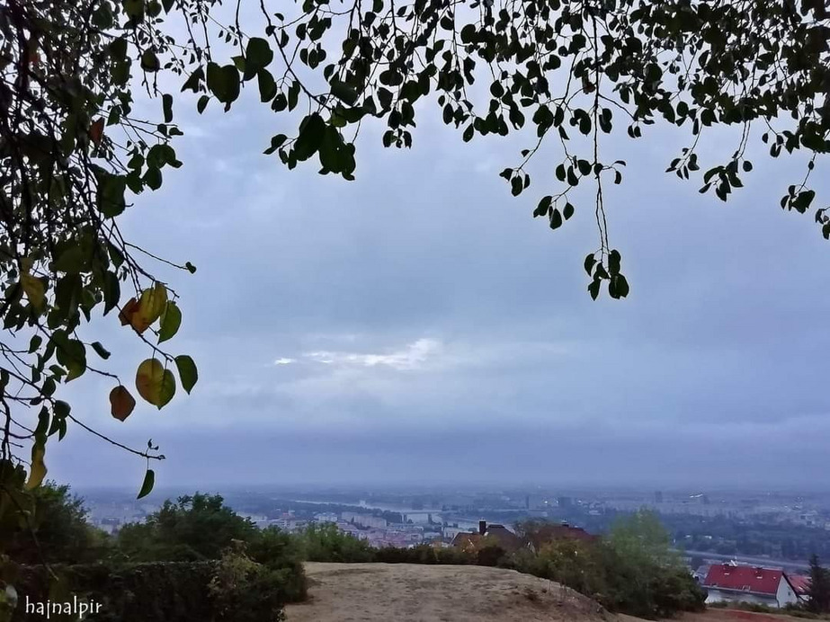 Budapest II.ker - Rózsadomb