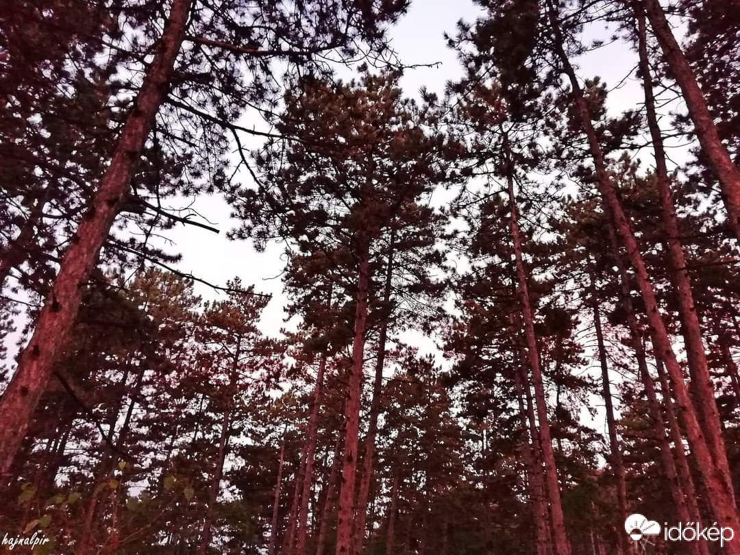 Pilisszentiván
