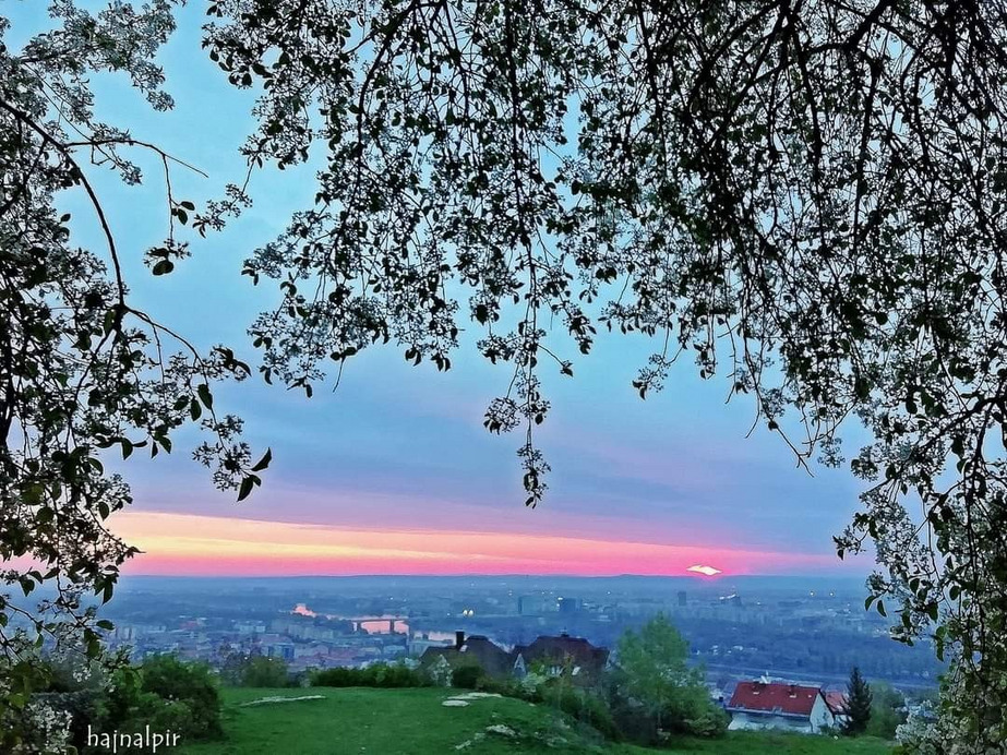Budapest II.ker - Rózsadomb
