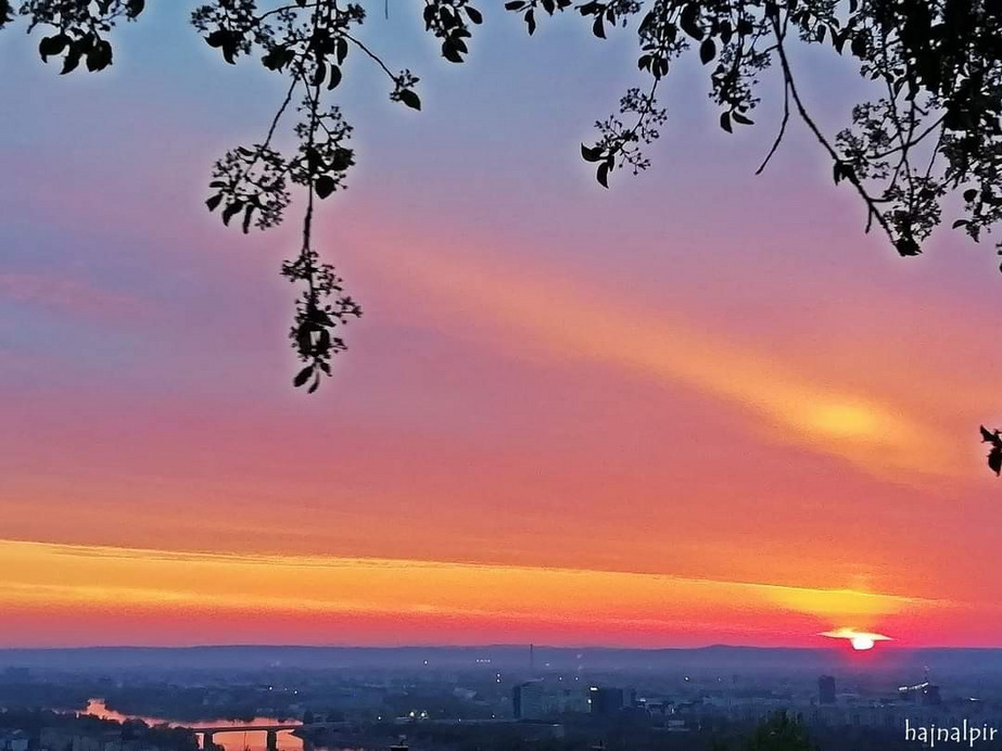 Budapest II.ker - Rózsadomb