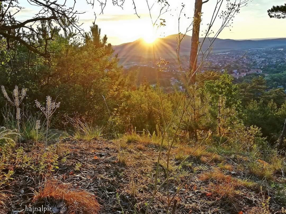 Budapest XIII.ker - Újlipótváros