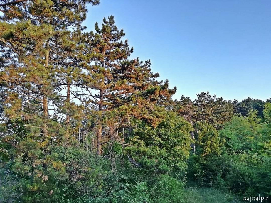 Pilisszentiván