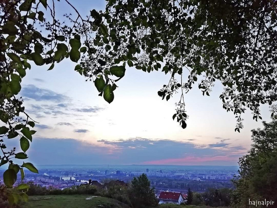 Budapest II.ker - Rózsadomb