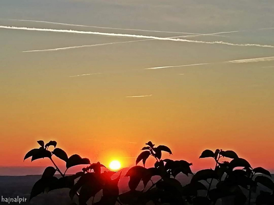 Budapest II.ker - Rózsadomb