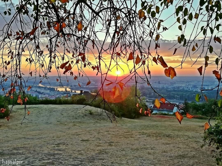 Budapest II.ker - Rózsadomb