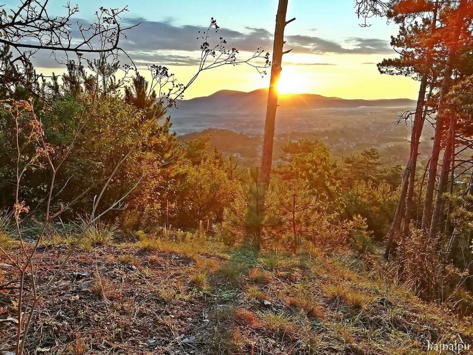 Pilisvörösvár