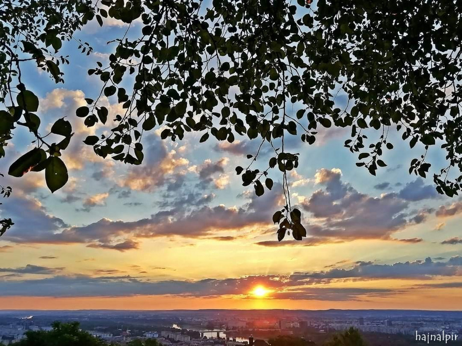 Budapest II.ker - Rózsadomb