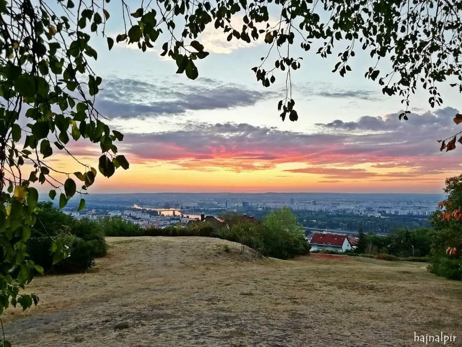 Budapest II.ker - Rózsadomb