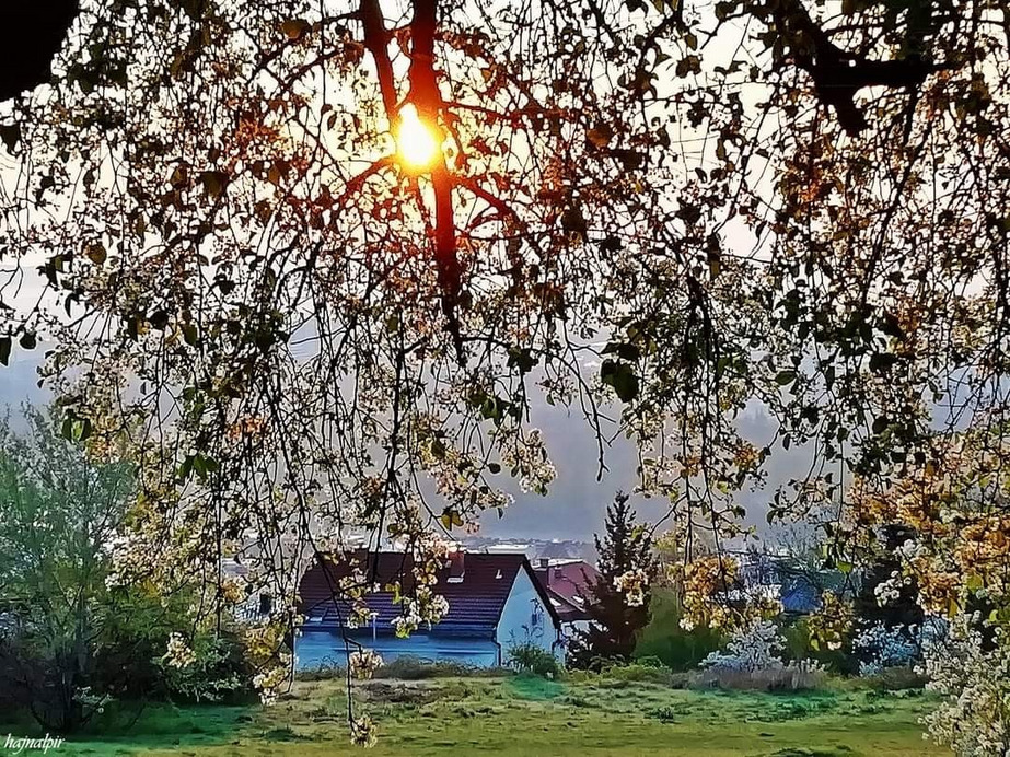 Budapest II.ker - Rózsadomb