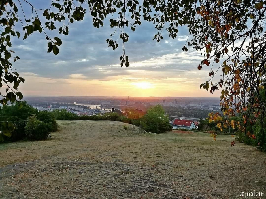 Budapest II.ker - Rózsadomb