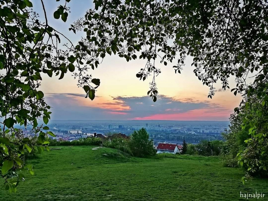 Budapest II.ker - Rózsadomb