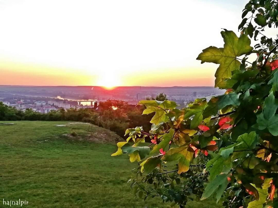 Budapest II.ker - Rózsadomb
