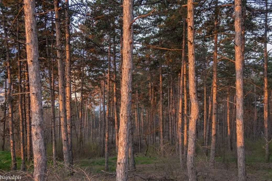 Pilisszentiván