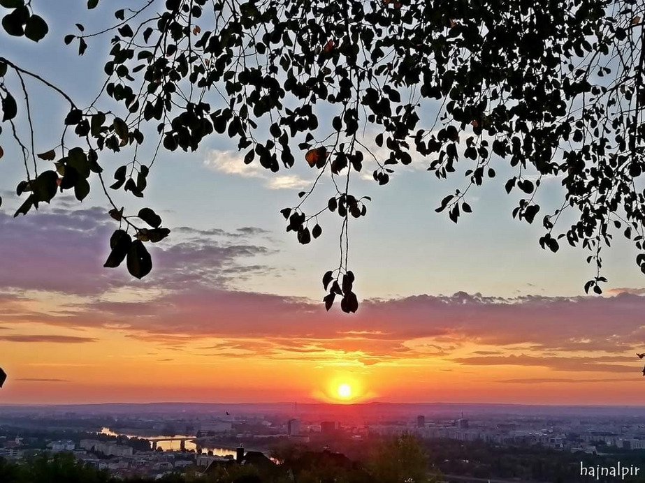 Budapest II.ker - Rózsadomb