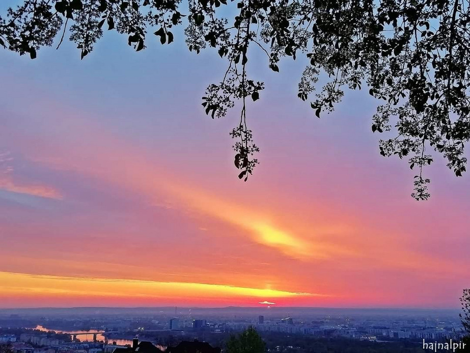 Budapest II.ker - Rózsadomb