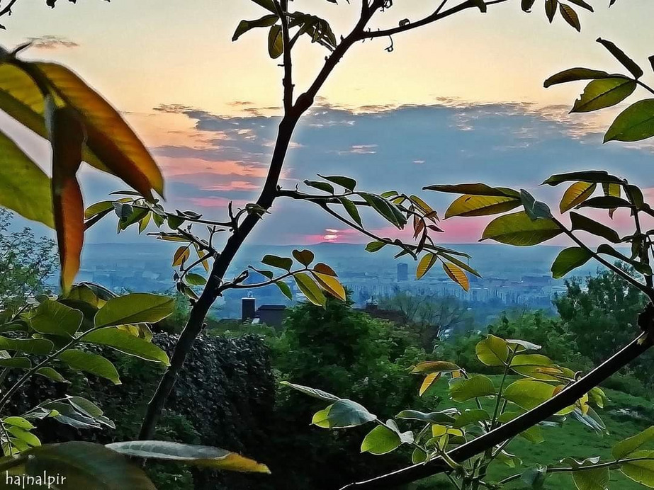 Budapest II.ker - Rózsadomb