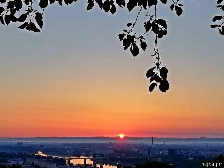 Budapest II.ker - Rózsadomb