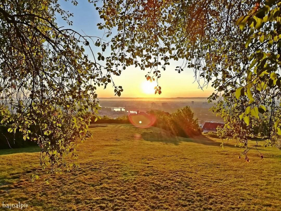 Budapest II.ker - Rózsadomb