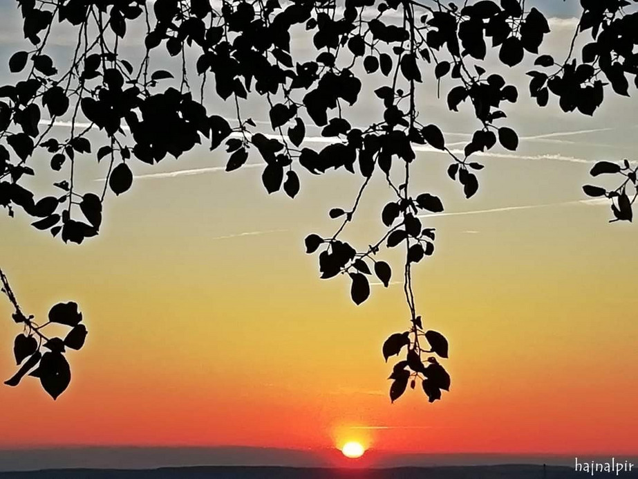 Budapest II.ker - Rózsadomb