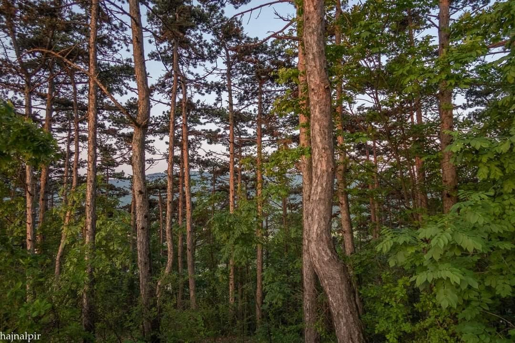 Pilisszentiván