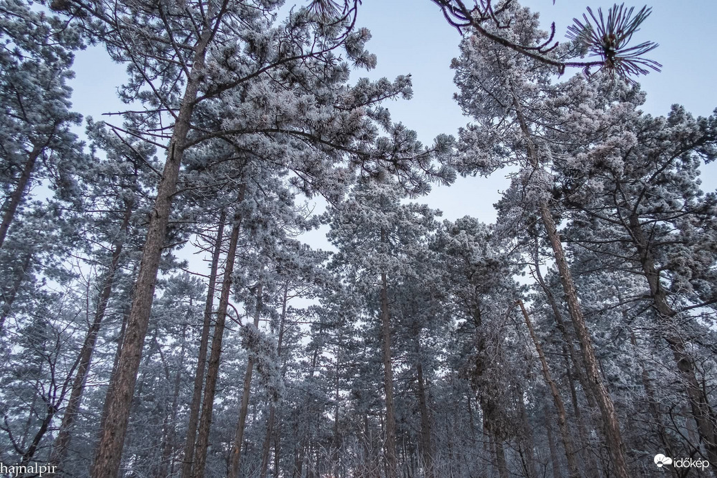 Budapest XIII.ker - Újlipótváros