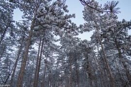 Budapest XIII.ker - Újlipótváros