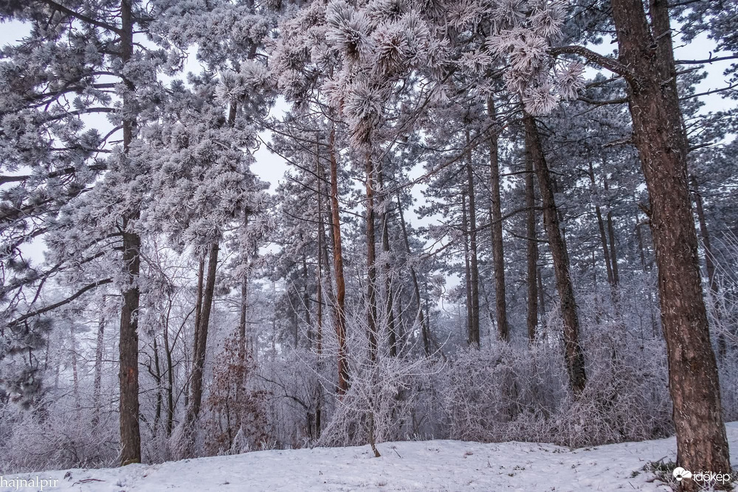Budapest XIII.ker - Újlipótváros
