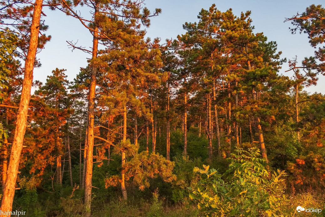 Pilisvörösvár