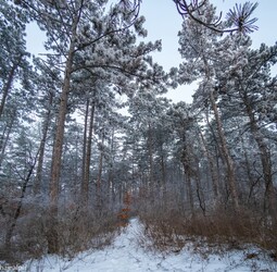 Budapest XIII.ker - Újlipótváros