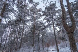 Budapest XIII.ker - Újlipótváros