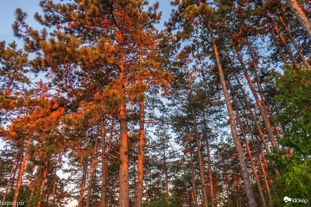 Pilisvörösvár