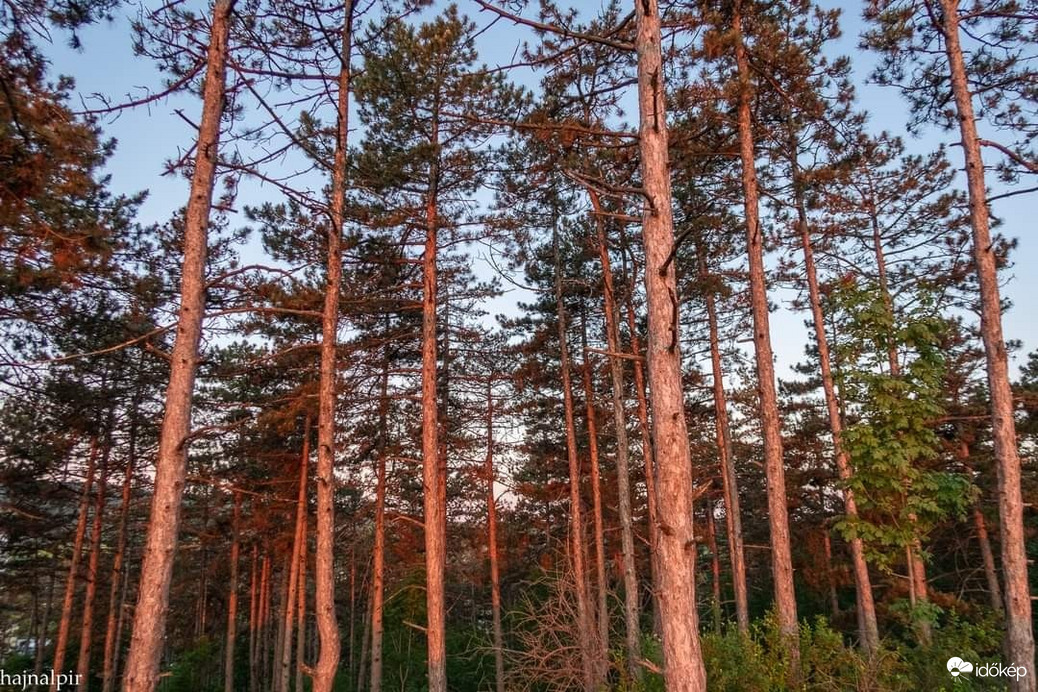 Pilisszentiván