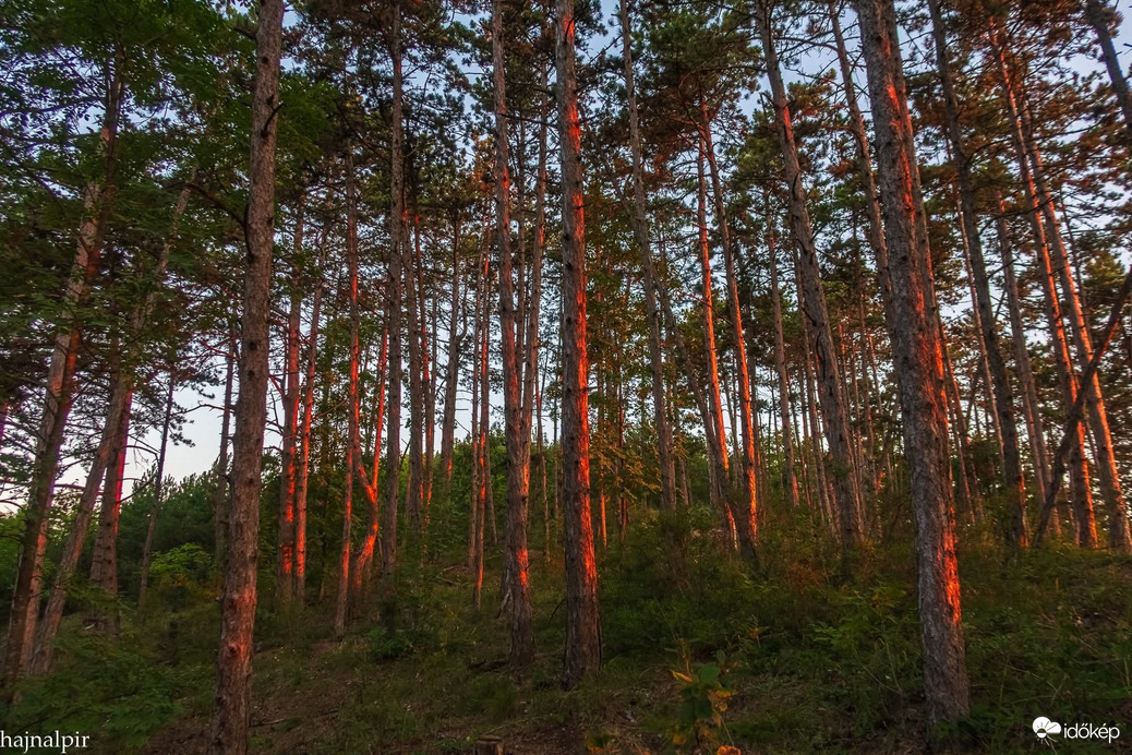 Pilisszentiván