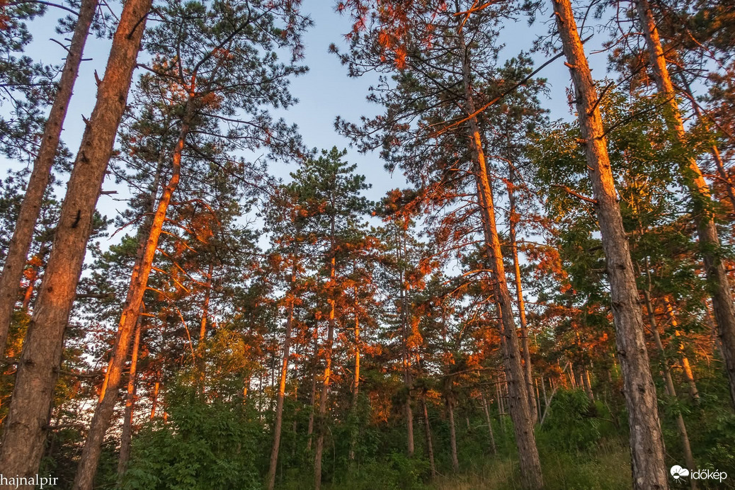 Pilisszentiván