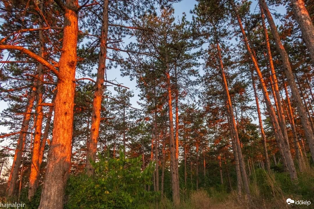 Pilisszentiván