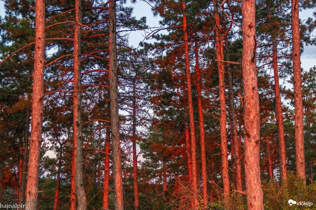 Pilisszentiván