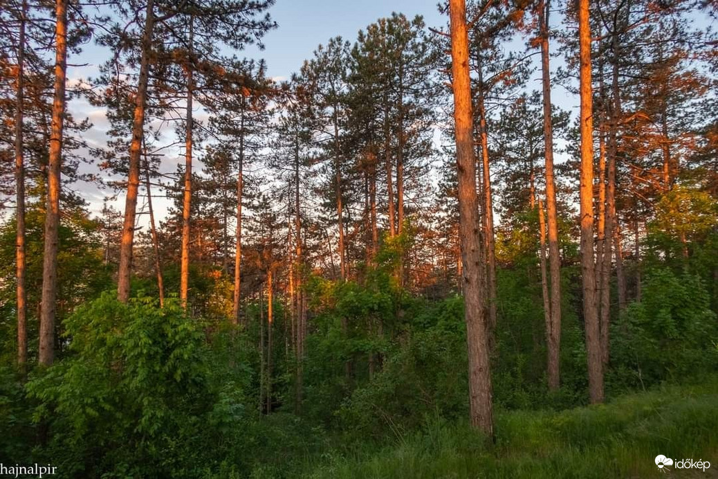 Pilisszentiván