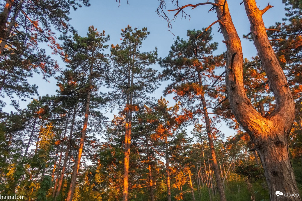 Pilisszentiván