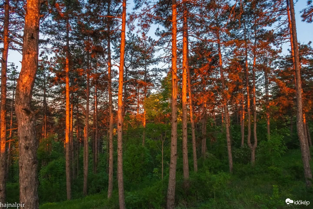 Pilisvörösvár