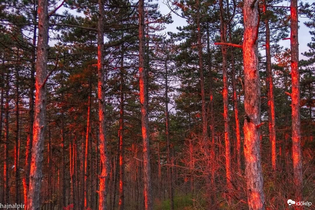 Pilisszentiván