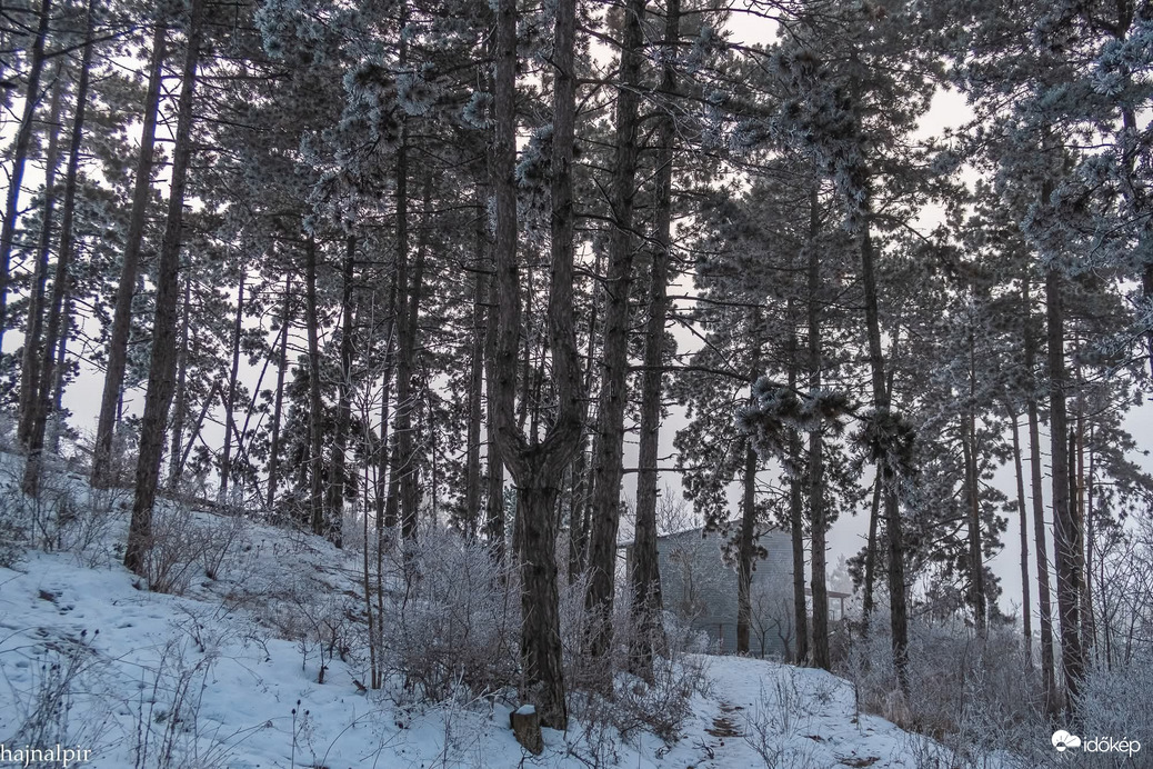 Budapest XIII.ker - Újlipótváros