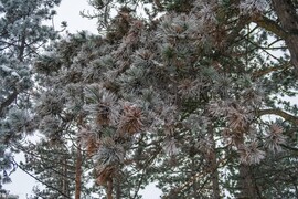 Budapest VI.ker - Terézváros