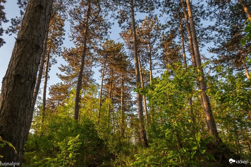 Pilisszentiván